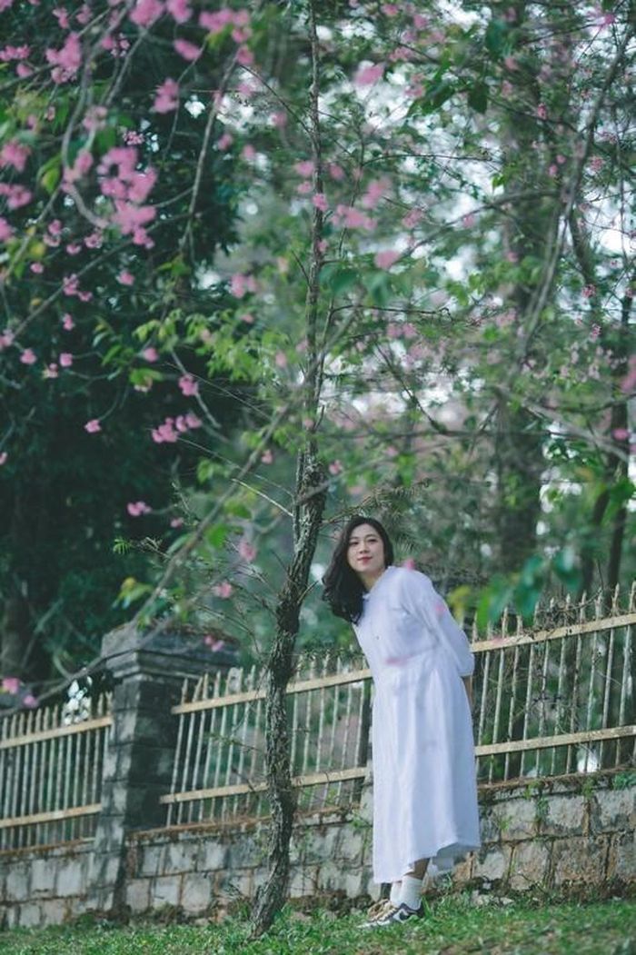Sau khi hỏi thăm và được xác tín từ những người bạn ở Đà Lạt nên Dung rất háo hức, quyết không bỏ qua cơ hội hiếm này. “Sắp xếp công việc rồi ghé thăm Đà Lạt một chút, bắt vội một vài khoảnh khắc trước khi hoa tàn. Những hình ảnh này được chụp sau một ngày mưa nên hoa cũng không còn rộ nhiều nhưng cũng đủ để làm một bộ ảnh thơ thơ, đánh dấu một mùa hoa nở muộn đặc biệt này” - Ngọc Dung nói.