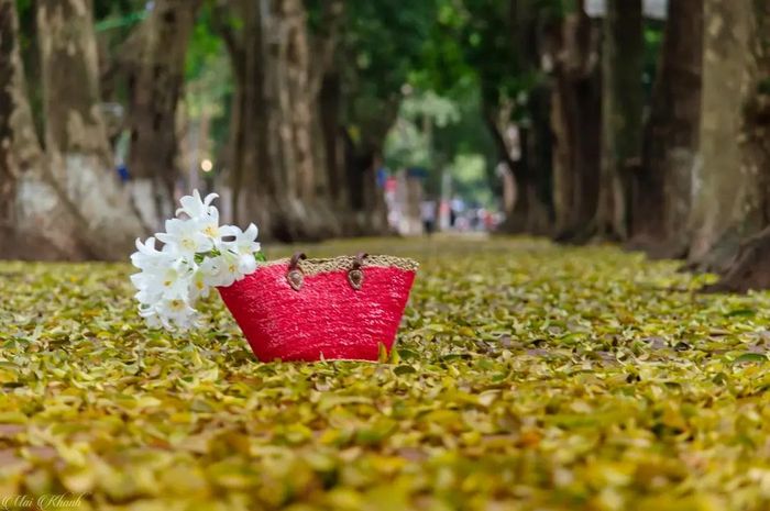 Ảnh minh họa: Mai Khanh