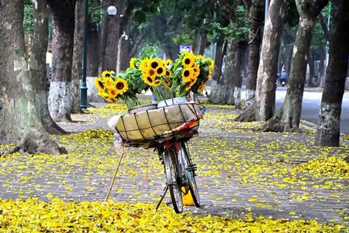 Hà Nội mùa thu. Ảnh minh họa