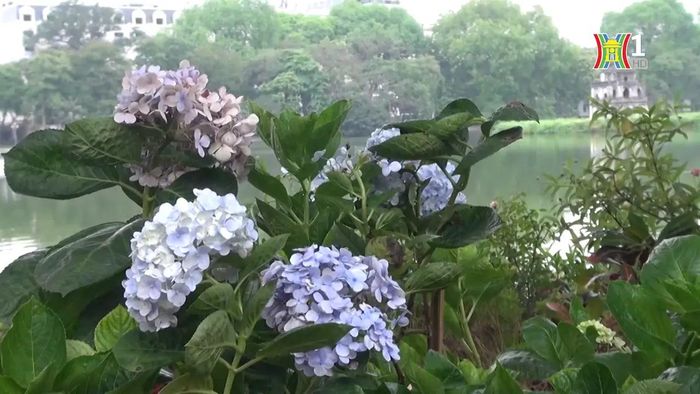 Hồ Gươm hấp dẫn hơn trong dịp nghỉ Lễ