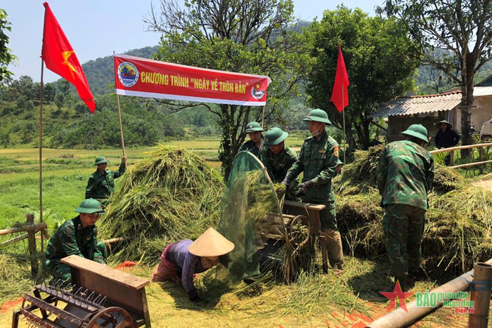 Tuốt lúa giúp các hộ gia đình. 