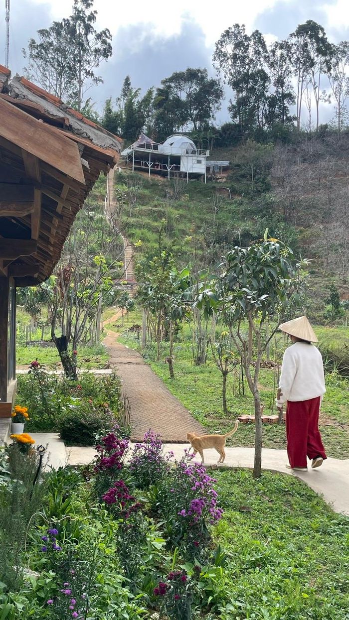 Sống ở đâu là tốt nhất cho sức khỏe, cho tinh thần, điều này mỗi một người sẽ tự có cảm nhận và lựa chọn của riêng mình tùy thuộc vào sở thích, hoàn cảnh. (Ảnh: Ngọc Mai)