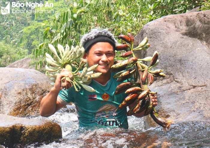  Người dân địa phương đi tắm thác Vặn kiếm hoa chuối, quả chuối rừng về chế biến thức ăn và làm dược liệu. Do gần thác không có hàng quán nên mọi người đến thác cần chuẩn bị trước mọi thứ.... và cần đặc biệt chú ý không xả rác bừa bãi để bảo vệ môi trường xanh sạch đẹp của thác Vặn. Ảnh: Huy Thư 