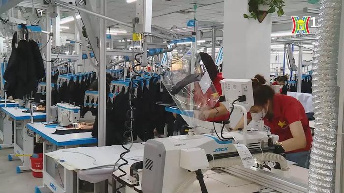 Đa dạng thị trường để giữ vững xuất khẩu 