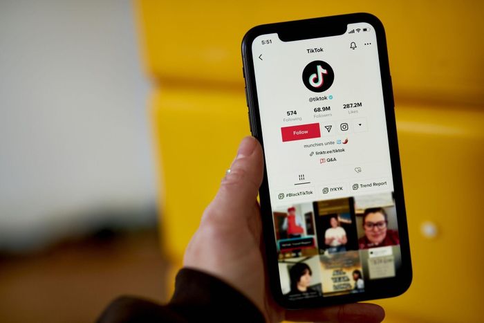  TikTok có lợi thế nhiều năm về kinh nghiệm phát triển sản phẩm, kho dữ liệu lớn, xây dựng cộng đồng người dùng riêng biệt. Ảnh: Bloomberg. 