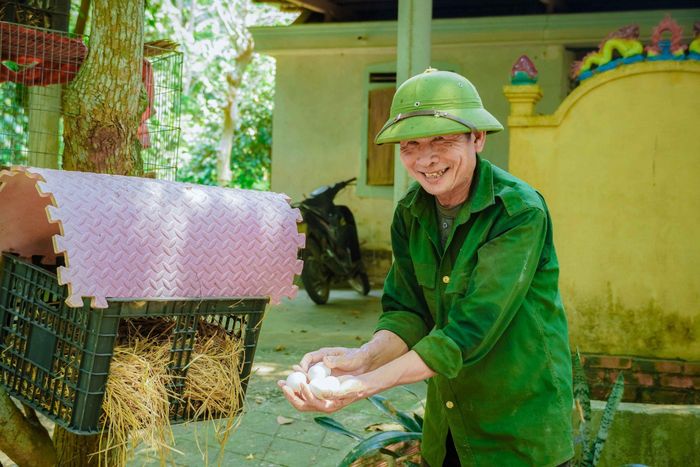  Trứng gà rừng đẻ trong vườn nhà 