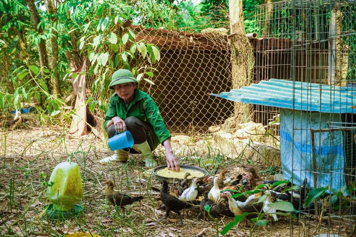  Mỗi năm cụ chọn 30 con thả về rừng núi Hoành Sơn 