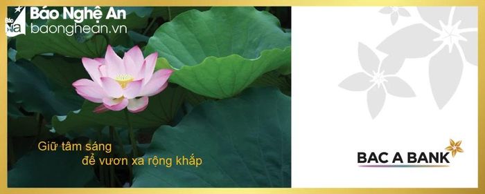 BAC A BANK đã luôn đồng hành chia sẻ khó khăn cùng với khách hàng bằng nhiều chương trình ưu đãi lãi suất. Ảnh: BAB