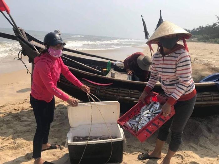 Tôm, cá đầy khoang là niềm vui sau những chuyến biển của ngư dân