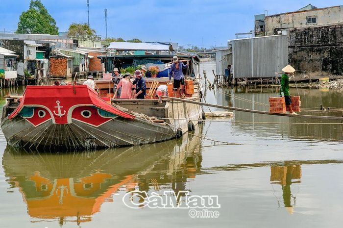 Bến gạch ở Phường 5 hằng ngày có hàng chục lao động từ khắp nơi đến đây làm việc.
