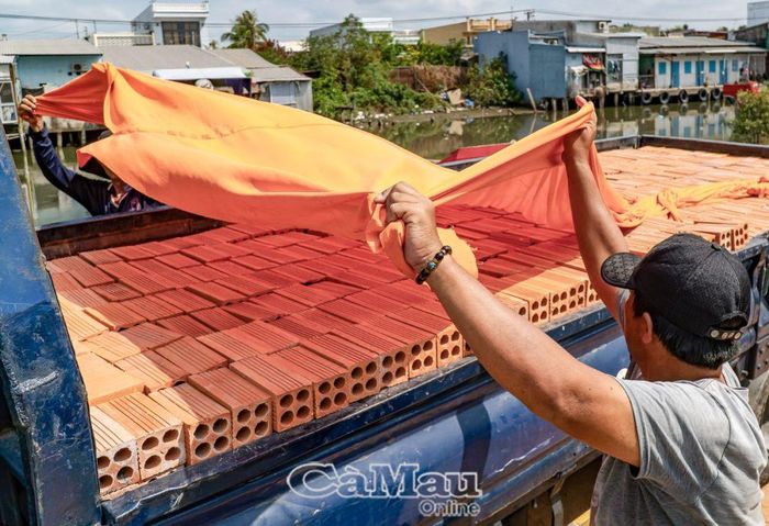 Gạch được sắp xếp lên xe tải, sau đó sẽ được vận chuyển đi khắp Cà Mau.