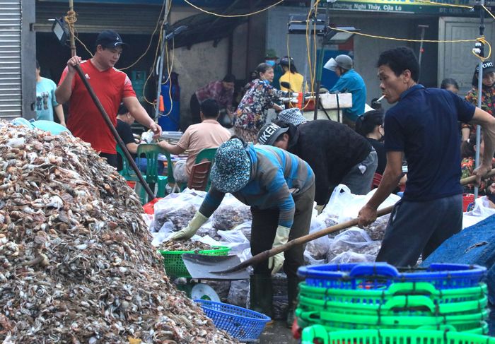 Những nhóm tổ bốc vác thuê thường có 6-7 người. Thông thường các tổ bốc vác sẽ nhận thuê khoán bốc vác hải sản với 1 tấn hàng sẽ nhận 600-700 nghìn đồng tiền thù lao. Tùy vào ngày hàng nhiều hay ít, các tổ bốc vác sẽ có nhiều hàng để làm và nhận được nhiều tiền thù lao hơn.
