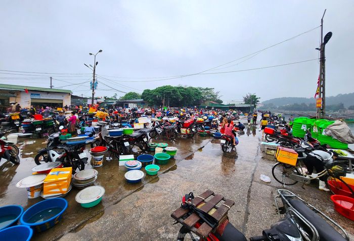 Bến cá Nghi Thủy là nguồn cung cấp hải sản lớn cho người dân cũng như các cơ sở kinh doanh dịch vụ ăn uống trên địa bàn thị xã Cửa Lò và các chợ huyện, thành, thị lân cận.