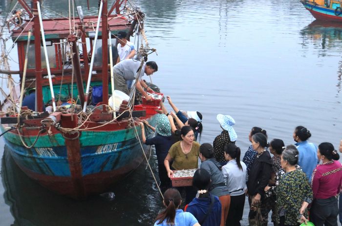 Trên bờ, các ngư dân, tiểu thương đã ngồi chờ sẵn. Mỗi khi tàu thuyền về, người dân lại lội ra để nhận những giỏ nhựa đầy tôm, cá...