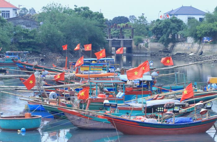 Từ 4h sáng đến 7h sáng hàng ngày, các tàu thuyền liên tục cập bến với khoang đầy ắp tôm cá sau một đêm dài ra khơi đánh bắt hải sản.