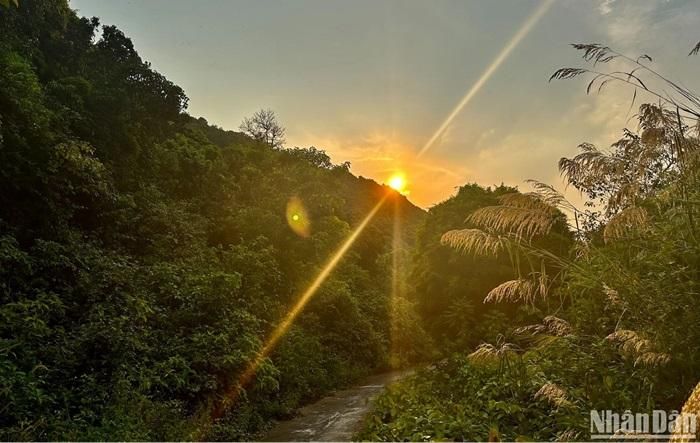 Cổng rừng Sơn Trà sẽ đóng lúc 18 giờ hằng ngày. Để bảo đảm an toàn cho người dân, du khách, chính quyền thành phố Đà Nẵng đã có những quy định nghiêm ngặt đối với người, phương tiện lưu thông lên Bán đảo Sơn Trà. Bốn mùa trên Sơn Trà, là những khoảnh khắc tinh túy nhất của thiên nhiên đã ban tặng con người. Yêu rừng, là mỗi chúng ta đang yêu chính nguồn sống của mình - Ảnh: Anh Đào