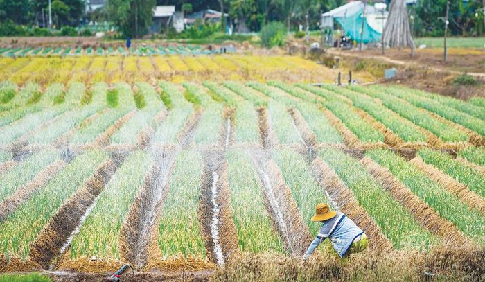 Áp dụng khoa học - kỹ thuật vào sản xuất