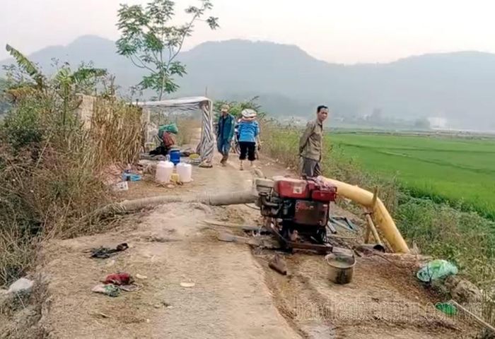 Người dân các xã vùng lòng chảo Điện Biên bơm nước tưới chống hạn cho đồng ruộng.
