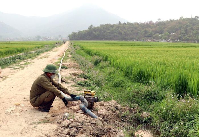 Ông Tòng Văn Thiện, bản Liếng, xã Noong Luống chặn dòng tích nước để bơm vào ruộng tưới ẩm cho lúa bị hạn.