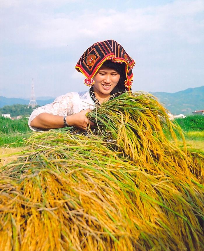 Tác phẩm Khâu áo, bản Tèn của Trần Quốc Dũng (trái) và Lúa tám thơm Mường Thanh của Tô Hợp là hai trong số các tác phẩm khắc họa đời sống sinh hoạt, nét văn hóa của người dân Điện Biên.