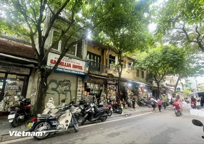  (Ảnh: Vietnam+) 