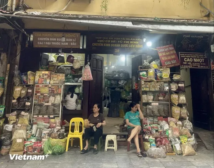  (Ảnh: Vietnam+) 
