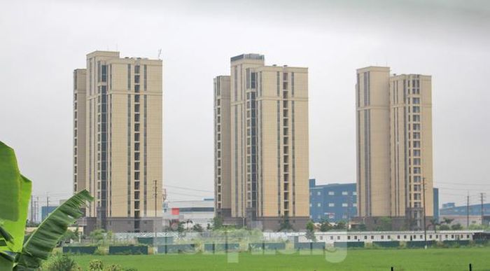 Khu NƠXH Vân Trung, xã Vân Trung, huyện Việt Yên thu hồi 71.000 m2 đất lúa để thực hiện dự án. (Ảnh: Lập Đông)