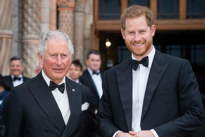 Hoàng tử Harry xác nhận không gặp Vua Charles vì ông quá bận rộn. Ảnh: Getty Images.