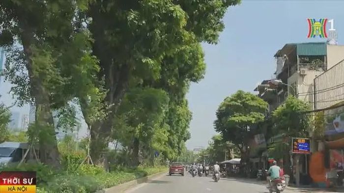 Dự án đầu tư cải tạo, mở rộng Vành đai 2 trên cao và dưới thấp đoạn từ Ngã Tư Sở đến Cầu Giấy có tổng mức đầu tư trên 21.000 tỷ đồng.