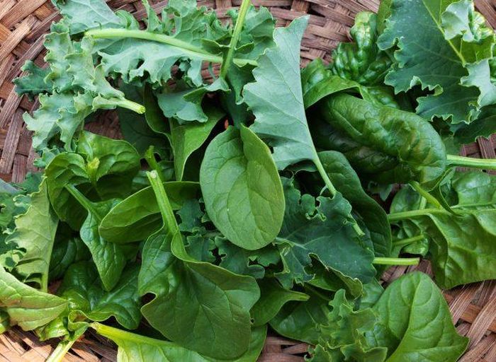 Các loại rau xanh lá có ít calo nhưng giàu chất dinh dưỡng, chất xơ và vitamin.