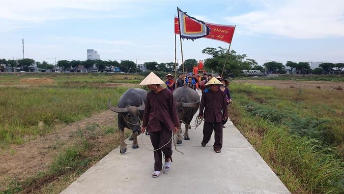 Đây là lễ hội tôn vinh trẻ Mục đồng duy nhất, chỉ có ở làng Phong Lệ, TP Đà Nẵng được tổ chức vào mùng 1/4 âm lịch.