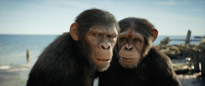 Kingdom of the Planet of the Apes có ngân sách không dưới 120 triệu USD. 