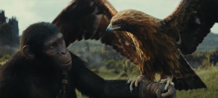  Phần phim mới nhận điểm "cà chua tươi" lên tới 86% trên Rotten Tomatoes. 