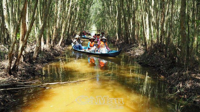 Tán rừng tràm xanh mát là nơi giải nhiệt lý tưởng.