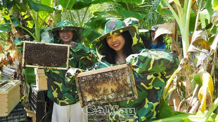 Du khách được người dân bản địa hướng dẫn trải nghiệm ăn ong, đặc sản thiên nhiên của rừng tràm U Minh Hạ.
