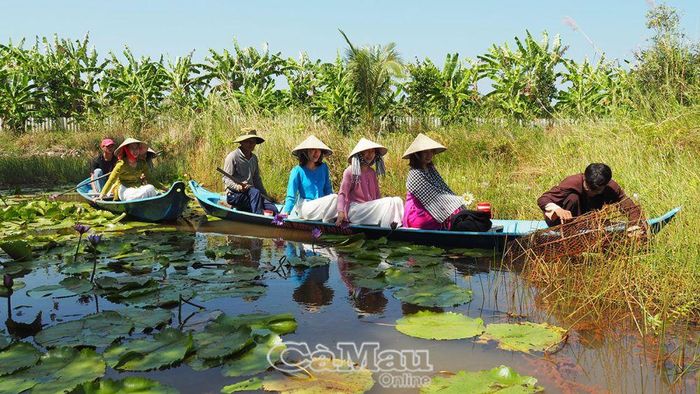 Dỡ lọp bắt cá.