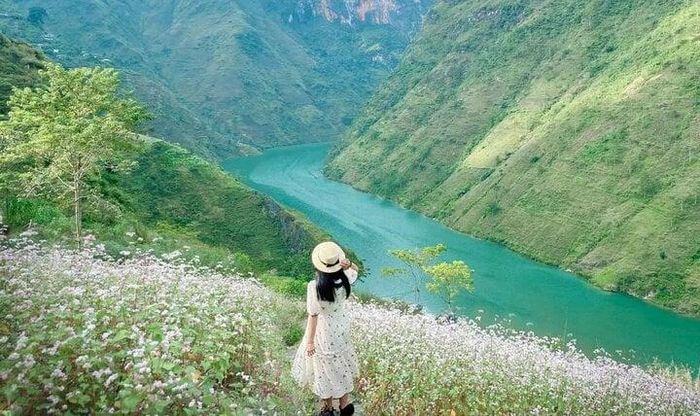 Hà Giang có vô vàn cảnh đẹp đang chờ bạn khám phá.