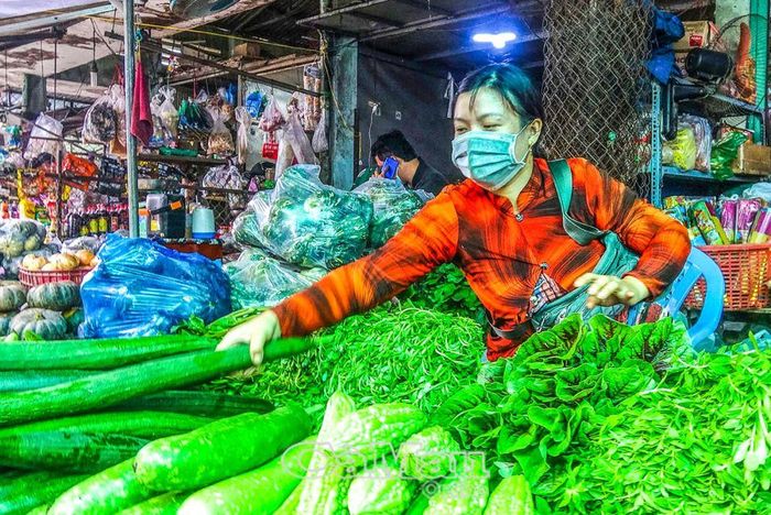 Hiện các mặt hàng rau cải, đặc biệt rau đồng đang khan hiếm, giá tăng so với trước.