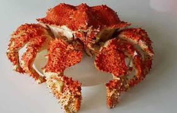 Cua Ruby là hải sản đắt đỏ nhưng rất được săn lùng vì hương vị thơm ngon. Sở dĩ được gọi là cua Ruby là vì loài cua này có hình dáng giống viên ngọc ruby, vỏ cứng, chiều dài khoảng 60 cm và nặng tới 9 kg/con.