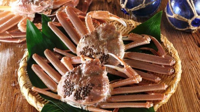 Cua tuyết Itsukiboshi được xem là một trong những loại hải sản thượng hạng và quý hiếm có nguồn gốc từ Nhật Bản, với giá trị như "báu vật của biển". Ngư dân sẽ không được phép bắt cua con để đảm bảo sự sinh tồn cho giống cua này