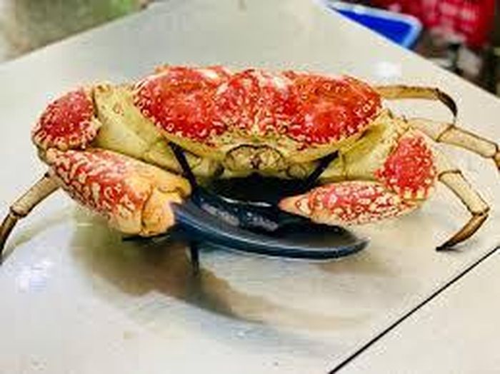 khối lượng thịt nhiều mà Cua khổng lồ Tasmania còn cao giá vì có hàm lượng dinh dưỡng cao. Cua khổng lồ Tasmania có giá hơn 300 USD/kg và mỗi con có trọng lượng 4 - 10 kg.
