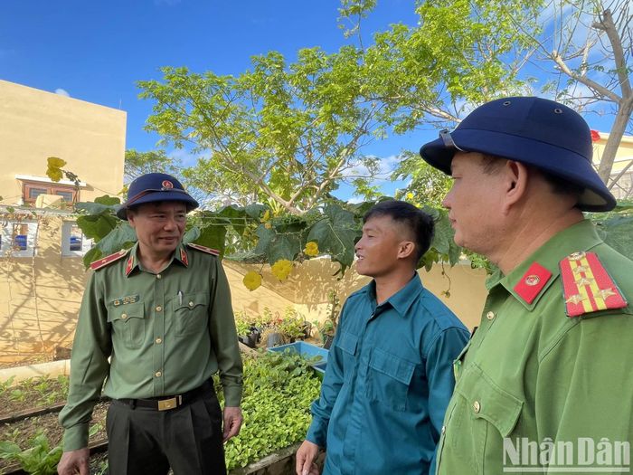 Vườn cây rau xanh mướt do chính người dân tại đảo trồng trọt. 