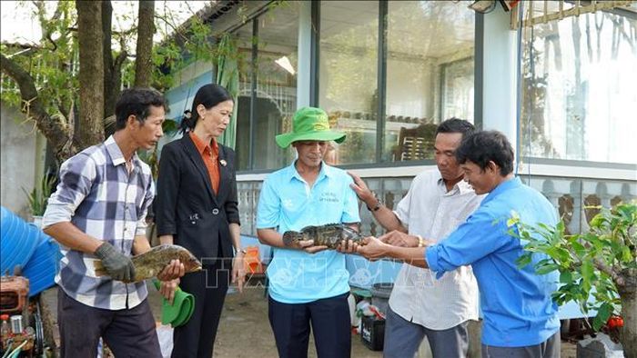 Nông dân tham quan mô hình nuôi cá bóng mú của hộ ông Trần Duy Khanh tại xã Lình Huỳnh (Hòn Đất, Kiên Giang).