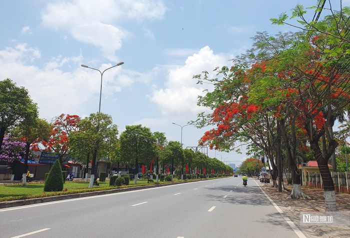 Tuyến đường Phạm Văn Đồng dài gần 20 km kéo dài từ cầu Rào đến Khu du lịch Đồ Sơn rực rỡ sắc màu của hoa phượng.