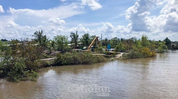 Tình trạng sạt lở bờ sông trên địa bàn huyện Năm Căn ngày càng phức tạp, không có điểm dừng.