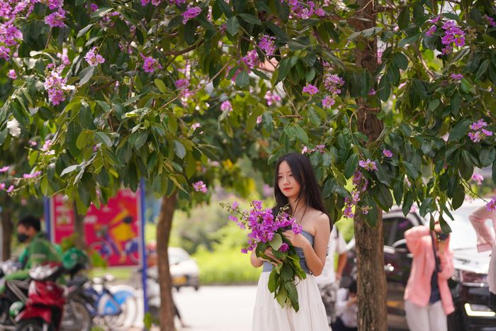  Tại đường Hoàng Cầu, nhiều bạn trẻ tranh thủ ghi lại khoảnh khắc đẹp của hoa bằng lăng 
