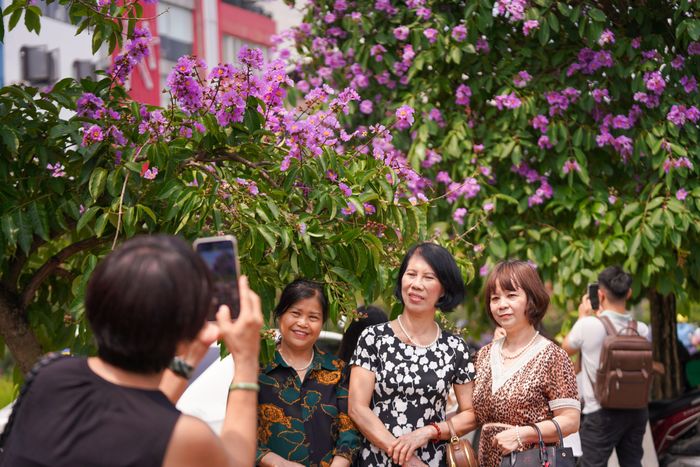  Ven các con phố của Hà Nội có hoa bằng lăng, nhiều người dân ghi lại hình ảnh của mình và bạn bè với hoa bằng lăng 