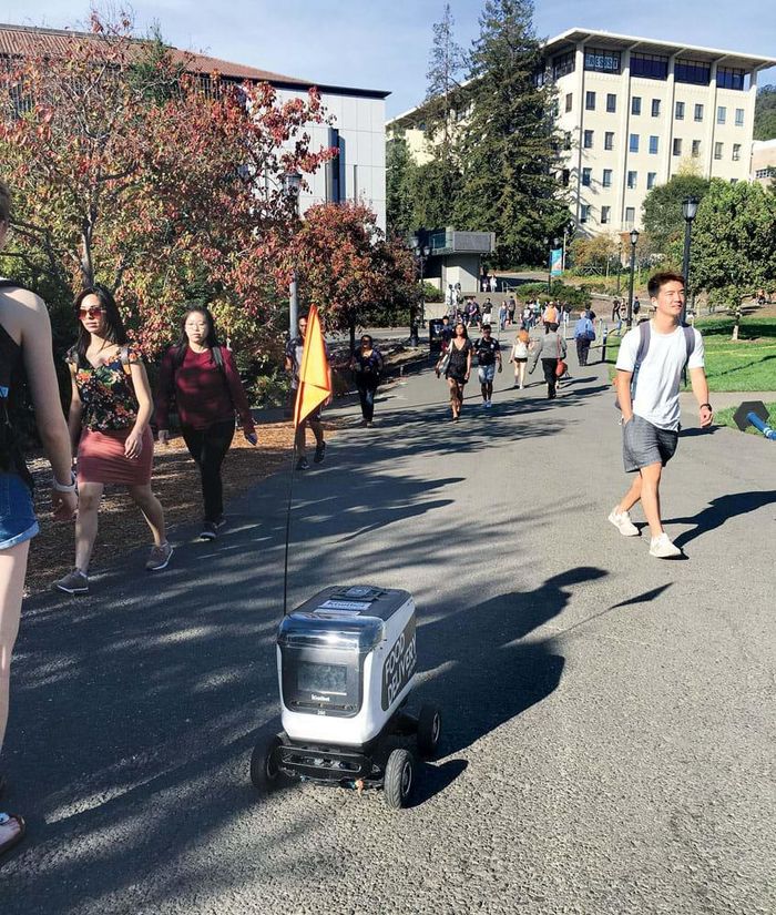 Robot giao đồ ăn trong khuôn viên đại học Stanford - Mỹ.