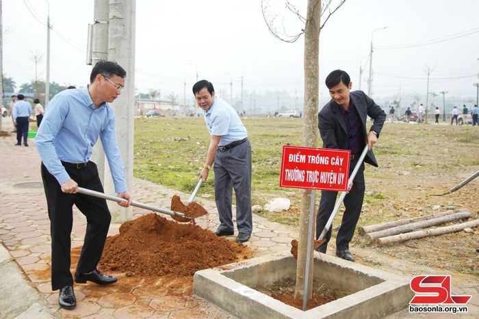 Thường trực Huyện ủy Phù Yên tham gia trồng cây.