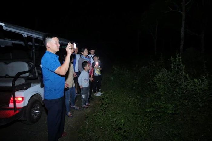 Du khách hào hứng với tour ngắm Vườn Quốc gia Cúc Phương vào ban đêm.
